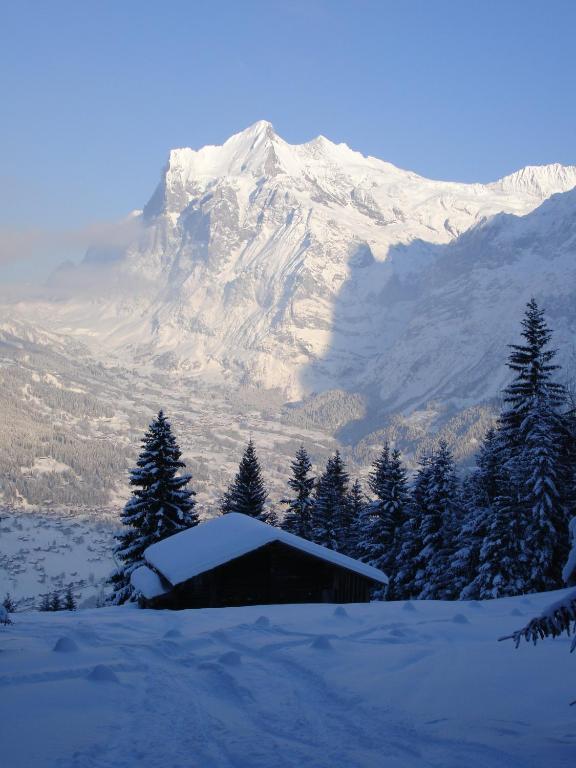 Chalet Asterix Grindelwald Luaran gambar